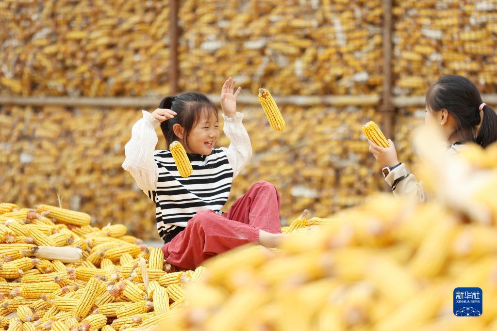 菠菜 金沙
